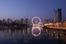 森林舞会游戏解密-森林舞会，解密一场自然与娱乐的交响曲
